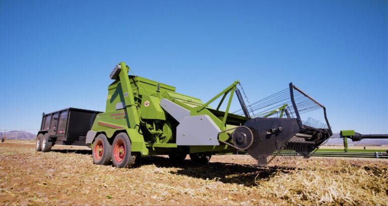 Imagen 25 09 25 a las 12.52 p.m. 1 768x408